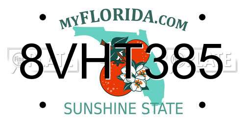 8VHT385 Florida License Plate