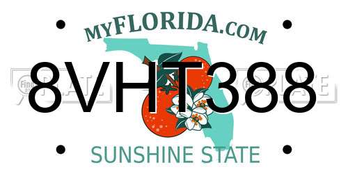 8VHT388 Florida License Plate