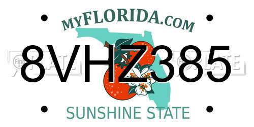 8VHZ385 Florida License Plate