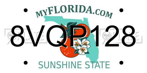 8VQP128 Florida License Plate