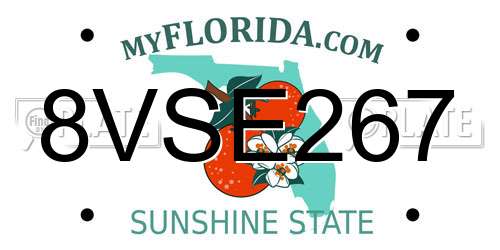 8VSE267 Florida License Plate