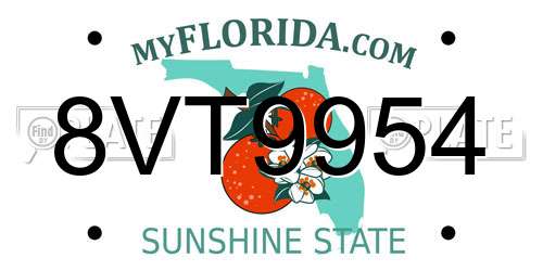 8VT9954 Florida License Plate