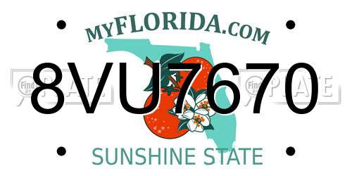 8VU7670 Florida License Plate