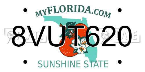 8VUT620 Florida License Plate