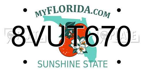 8VUT670 Florida License Plate