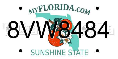 8VW8484 Florida License Plate