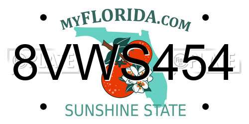 8VWS454 Florida License Plate