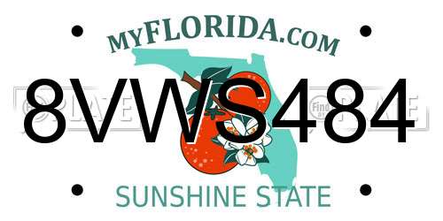 8VWS484 Florida License Plate
