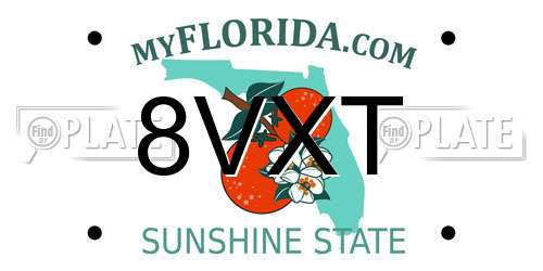 8VXT Florida License Plate