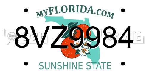 8VZ9984 Florida License Plate