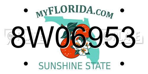 8W06953 Florida License Plate