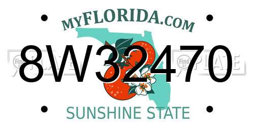 8W32470 Florida License Plate