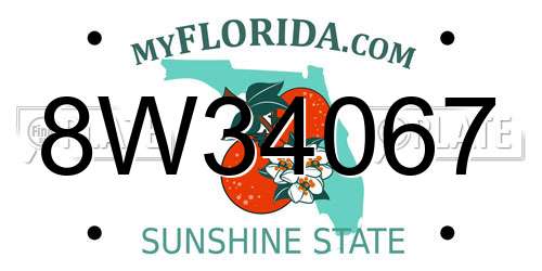 8W34067 Florida License Plate