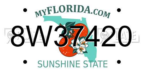 8W37420 Florida License Plate