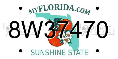 8W37470 Florida License Plate