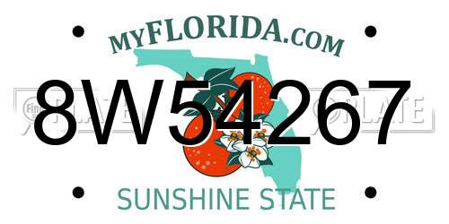 8W54267 Florida License Plate