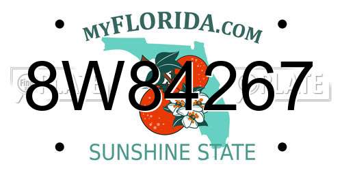 8W84267 Florida License Plate