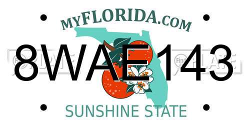 8WAE143 Florida License Plate