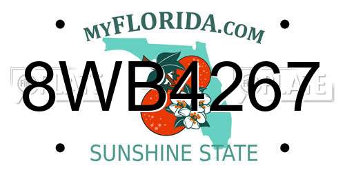 8WB4267 Florida License Plate