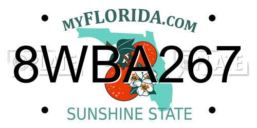 8WBA267 Florida License Plate