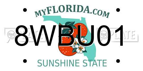8WBU01 Florida License Plate