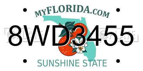 8WD3455 Florida License Plate