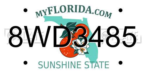 8WD3485 Florida License Plate