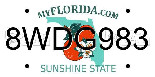 8WDG983 Florida License Plate