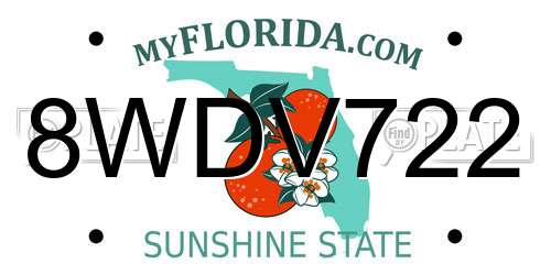 8WDV722 Florida License Plate