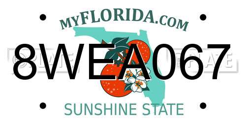 8WEA067 Florida License Plate
