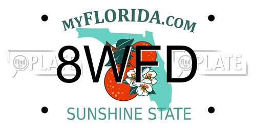 8WFD Florida License Plate