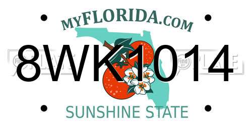 8WK1014 Florida License Plate