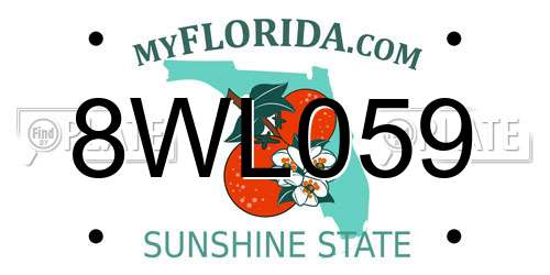 8WL059 Florida License Plate