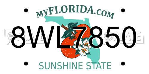 8WL7850 Florida License Plate