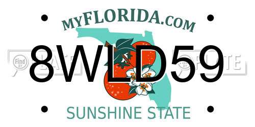 8WLD59 Florida License Plate