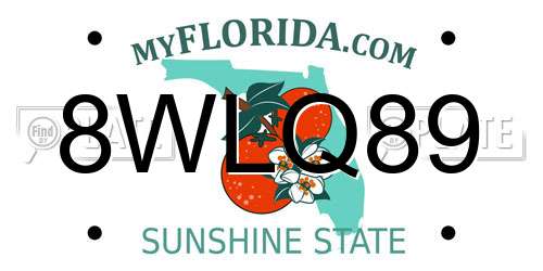 8WLQ89 Florida License Plate