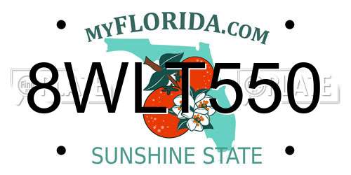 8WLT550 Florida License Plate