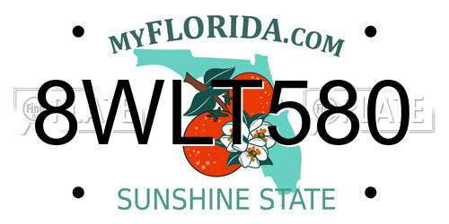 8WLT580 Florida License Plate