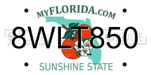 8WLT850 Florida License Plate