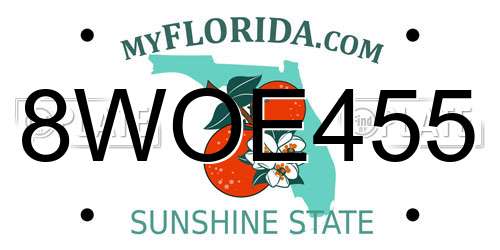 8WOE455 Florida License Plate