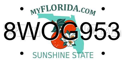 8WOG953 Florida License Plate
