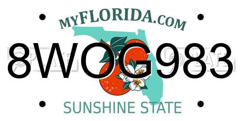 8WOG983 Florida License Plate