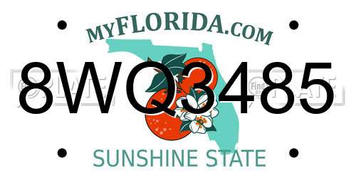 8WQ3485 Florida License Plate