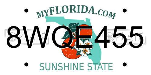 8WQE455 Florida License Plate