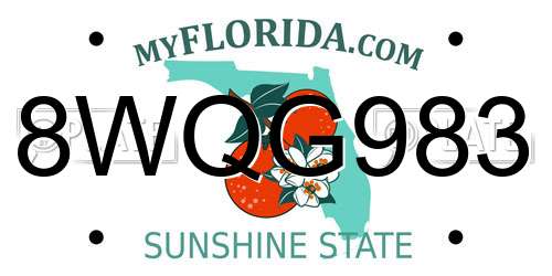 8WQG983 Florida License Plate
