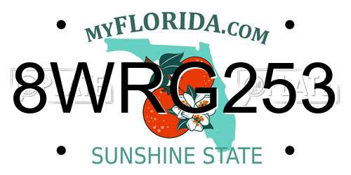 8WRG253 Florida License Plate