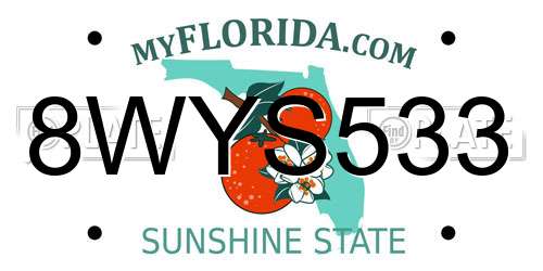 8WYS533 Florida License Plate