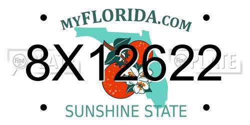8X12622 Florida License Plate