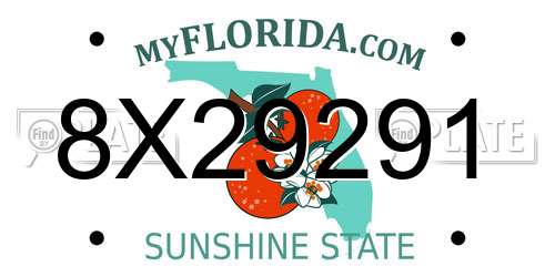 8X29291 Florida License Plate