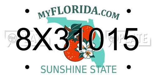 8X31015 Florida License Plate